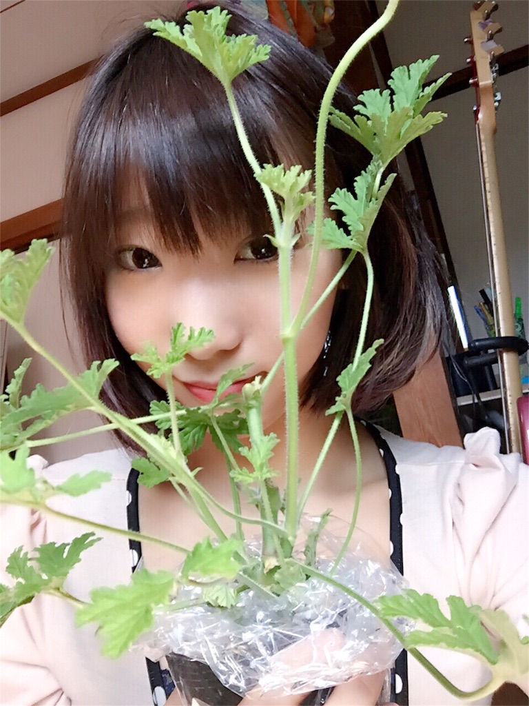 f:id:ReptileNaNa:20160420150018j:image f:id:ReptileNaNa:20160420150018j:image