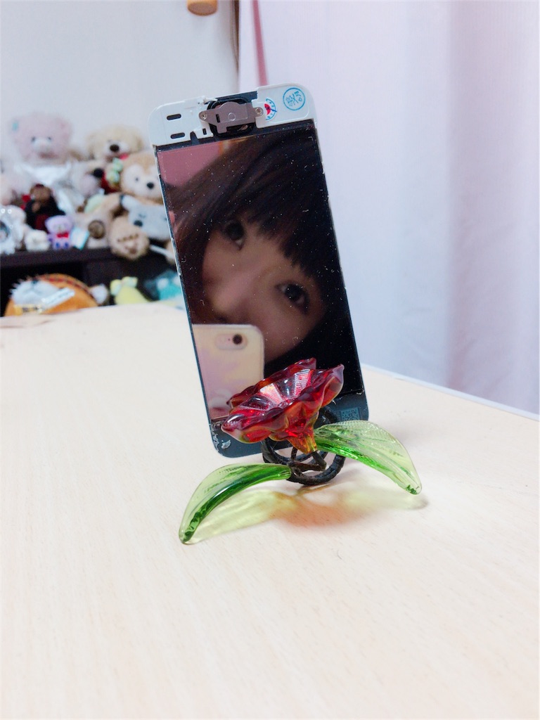 f:id:ReptileNaNa:20170126021200j:image f:id:ReptileNaNa:20170126021200j:image