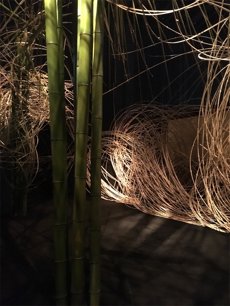 f:id:ReptileNaNa:20170301221623j:image f:id:ReptileNaNa:20170301221623j:image