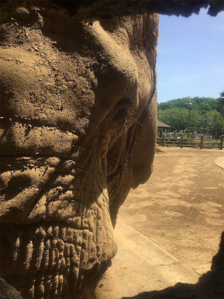 f:id:ReptileNaNa:20170503011315j:image f:id:ReptileNaNa:20170503011315j:image