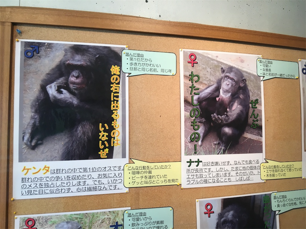 f:id:ReptileNaNa:20170503011929j:image f:id:ReptileNaNa:20170503011929j:image
