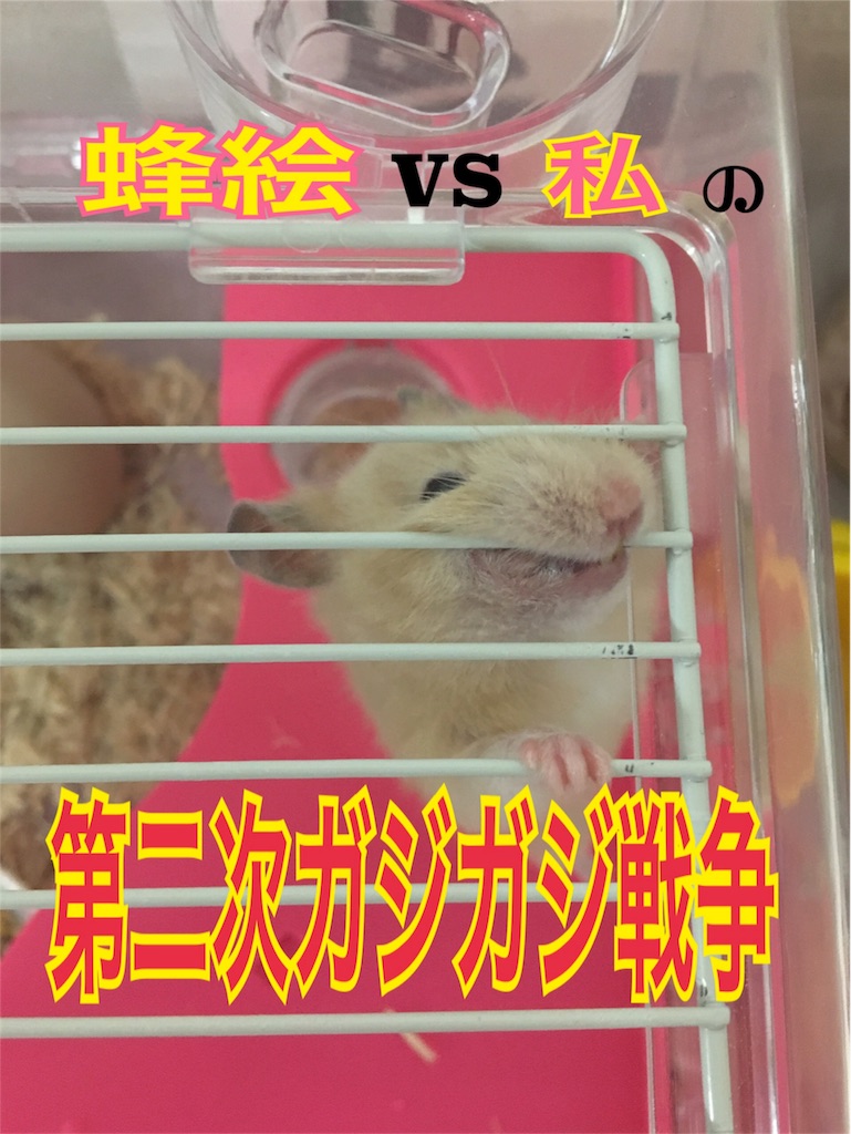f:id:ReptileNaNa:20170828145101j:image f:id:ReptileNaNa:20170828145101j:image