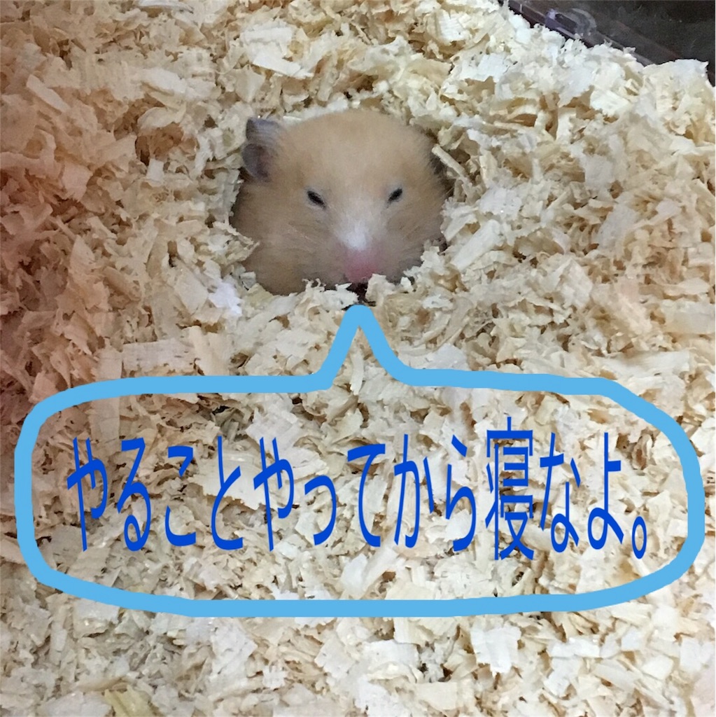 f:id:ReptileNaNa:20171215211616j:image f:id:ReptileNaNa:20171215211616j:image