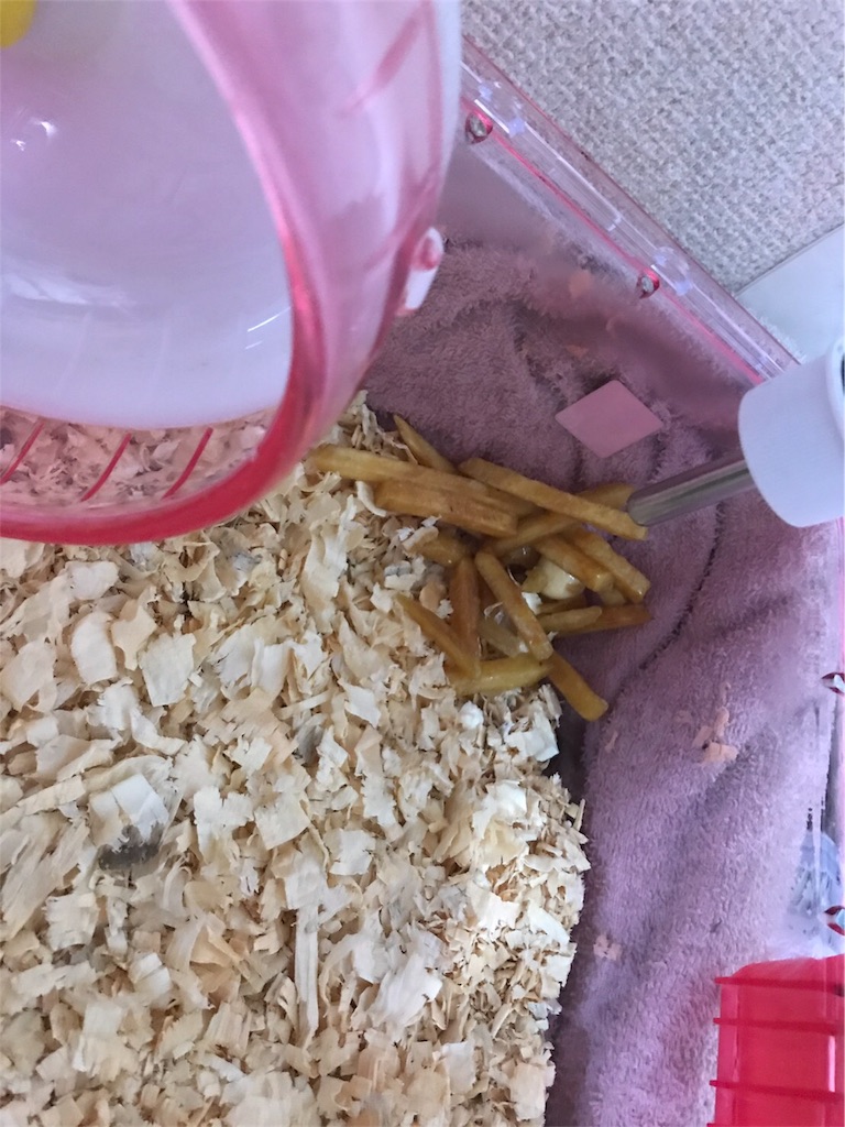 f:id:ReptileNaNa:20180106175658j:image f:id:ReptileNaNa:20180106175658j:image
