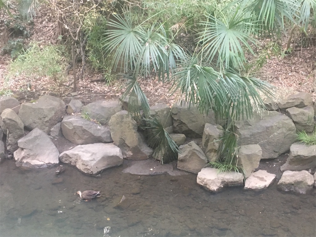 f:id:ReptileNaNa:20180319010034j:image f:id:ReptileNaNa:20180319010034j:image