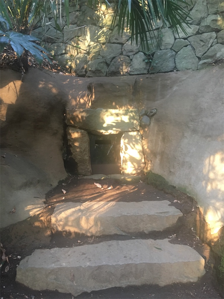 f:id:ReptileNaNa:20180319012332j:image f:id:ReptileNaNa:20180319012332j:image