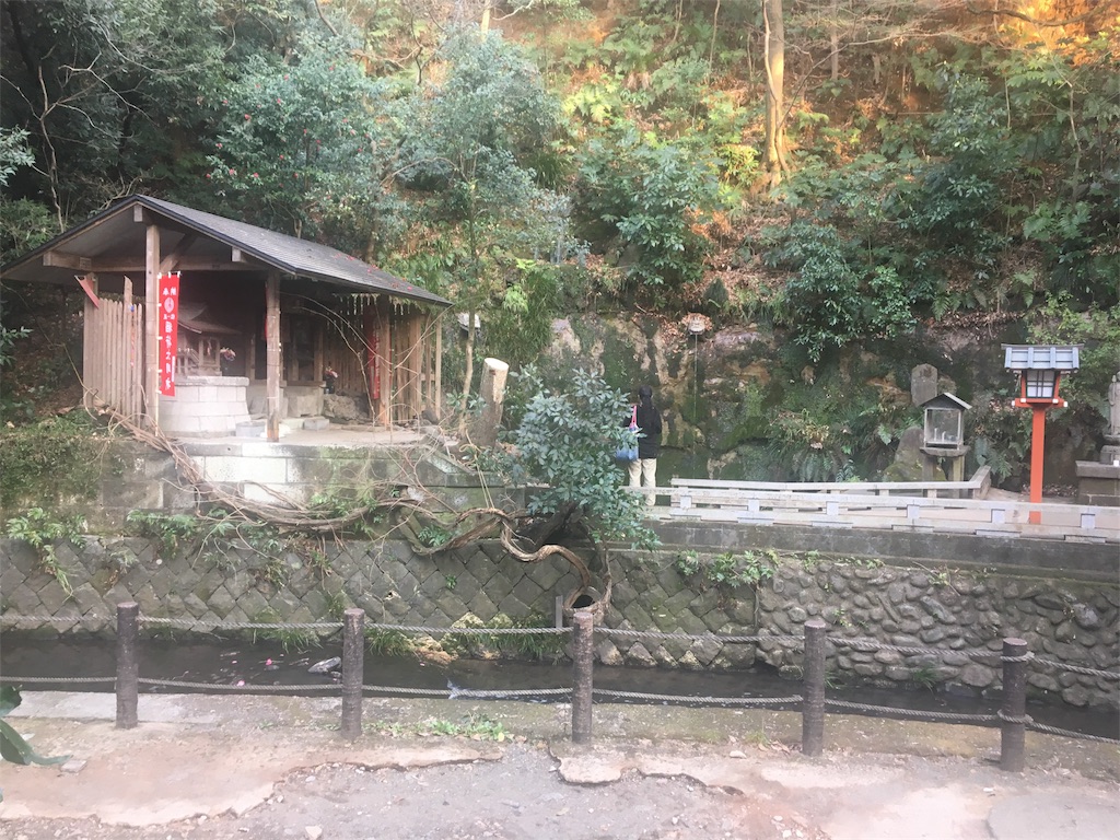 f:id:ReptileNaNa:20180319013952j:image f:id:ReptileNaNa:20180319013952j:image