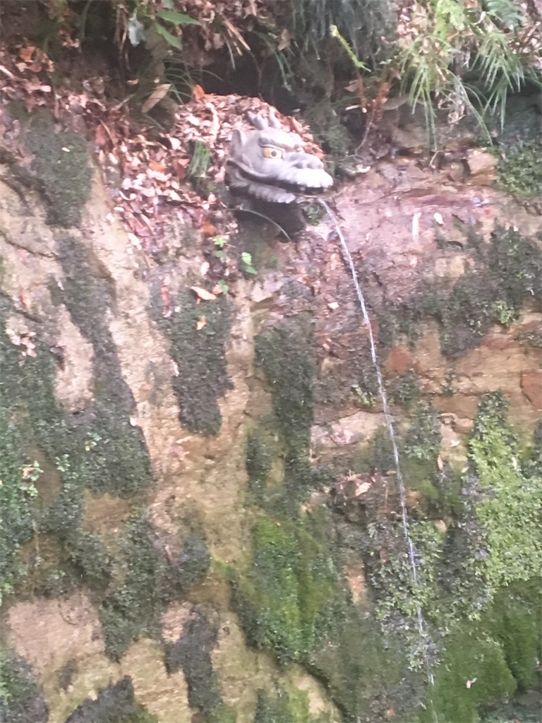 f:id:ReptileNaNa:20180319014209j:image f:id:ReptileNaNa:20180319014209j:image