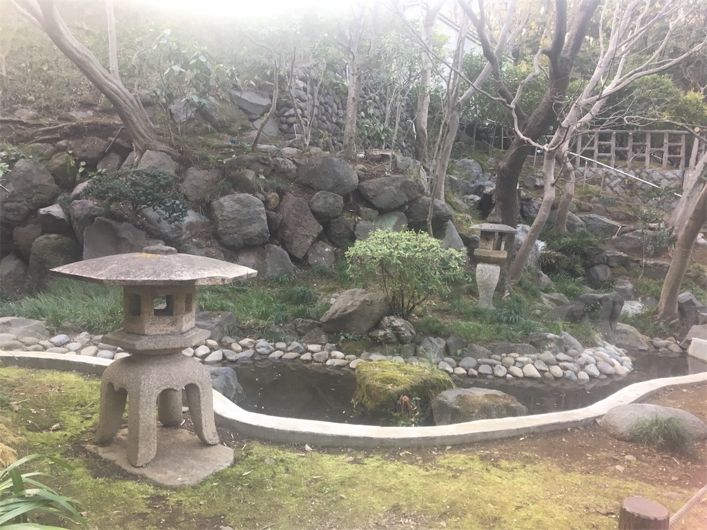 f:id:ReptileNaNa:20180319014519j:image f:id:ReptileNaNa:20180319014519j:image