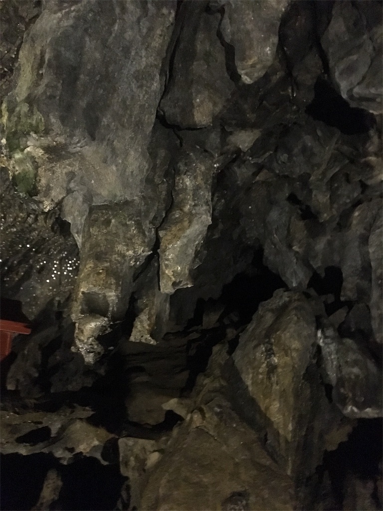 f:id:ReptileNaNa:20180529235133j:image f:id:ReptileNaNa:20180529235133j:image