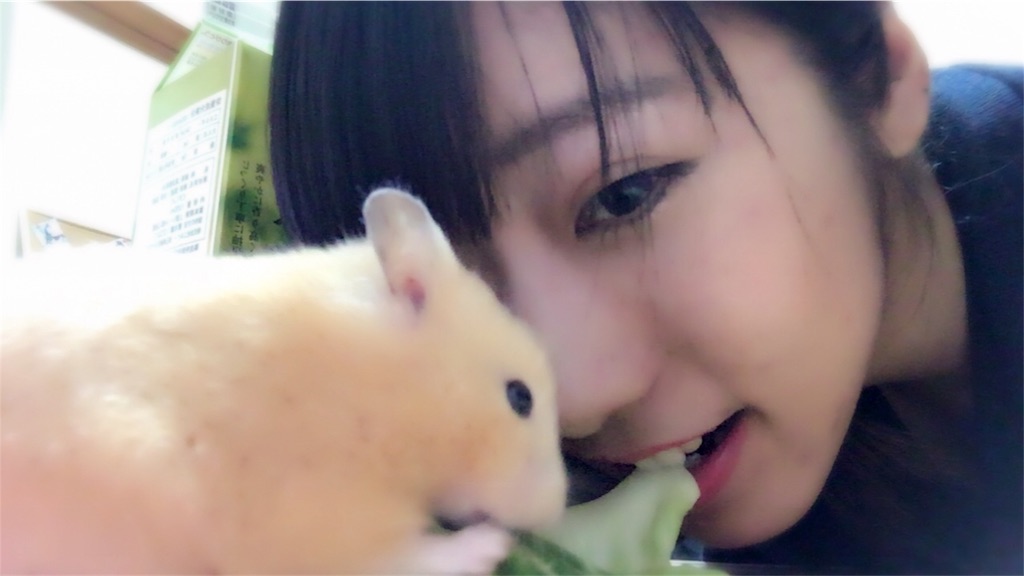 f:id:ReptileNaNa:20180602035726j:image f:id:ReptileNaNa:20180602035726j:image